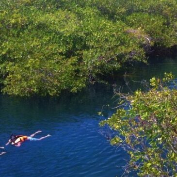 Cenote Encantado Tulum Hotel