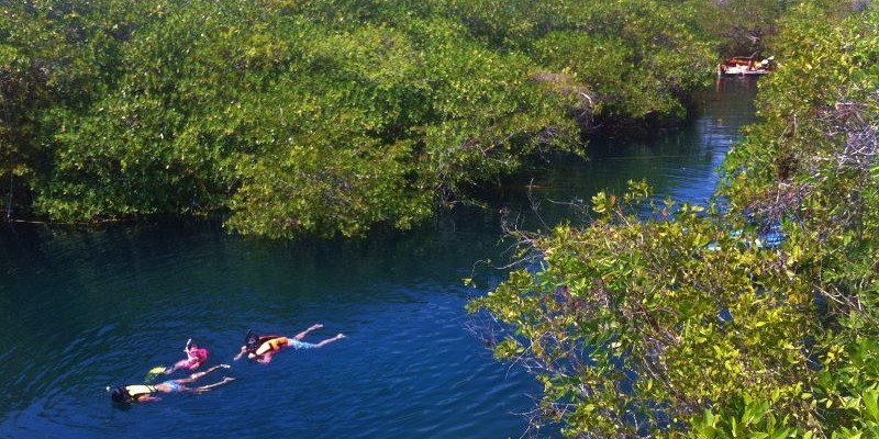 Cancun Airport to Tulum Cenote Encantado