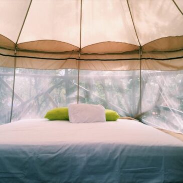 Tree House Glamping Tulum